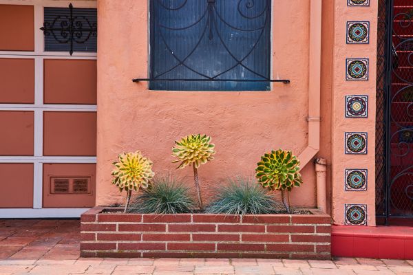 Brick Planter Installation in Saint Petersburg